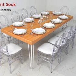 Isadora Rectangular Rustic Table and Dior Acrylic Chairs Rental