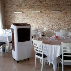 air-cooler-bm6000-restaurant-cooling