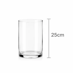 Crystal Vas 25cm Rentals