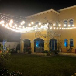 Bulb Light Decoration Rentals